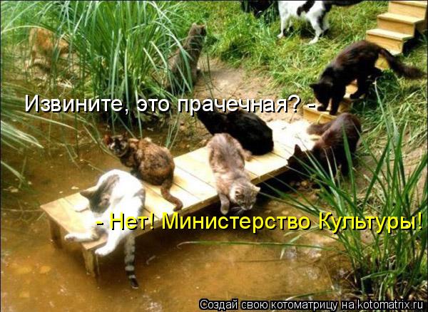 Извините, это прачечная? - - Нет! Министерство Культуры!... Котоматрица: Извините, это прачечная? - - Нет! Министерство Культуры!