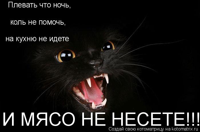 Котоматрица: Плевать что ночь, коль не помочь, на кухню не идете И МЯСО НЕ НЕСЕТЕ!!!