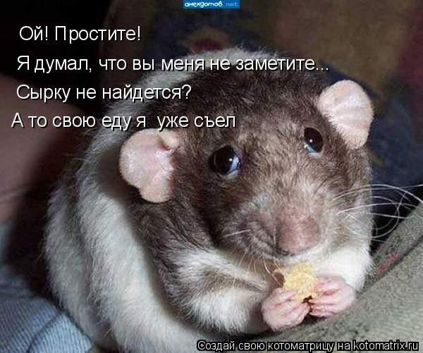 Котоматрица: Ой! Простите! Я думал, что вы меня не заметите... Сырку не найдется? А то свою еду я  уже съел
