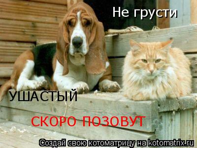 Котоматрица: Не грусти УШАСТЫЙ СКОРО ПОЗОВУТ