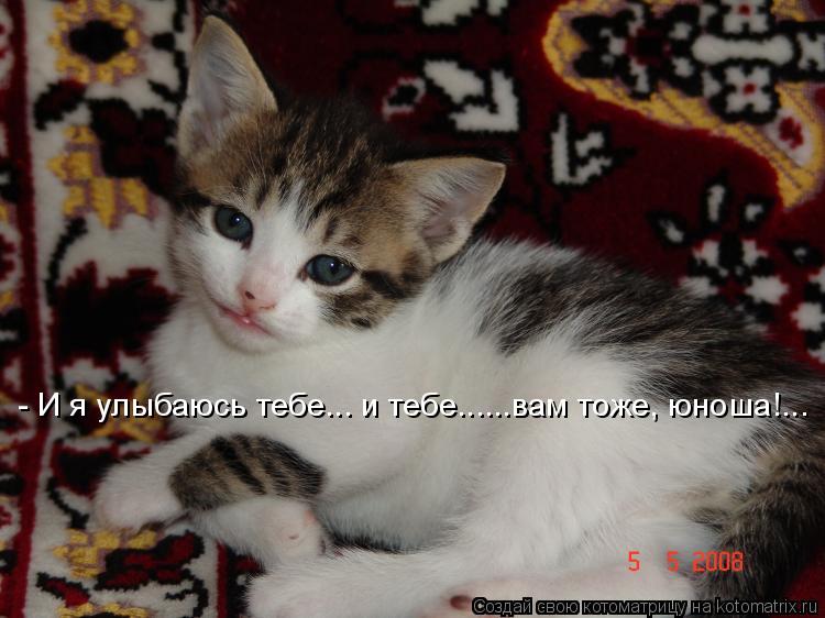 Котоматрица: - И я улыбаюсь тебе... и тебе......вам тоже, юноша!...