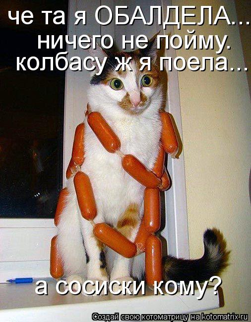 Котоматрица: че та я ОБАЛДЕЛА..... ничего не пойму. колбасу ж я поела... а сосиски кому?