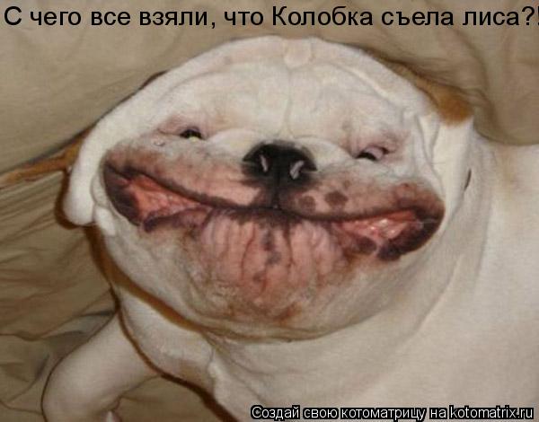 Котоматрица: С чего все взяли, что Колобка съела лиса?!