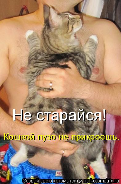 Котоматрица: Не старайся! Кошкой пузо не прикроешь.