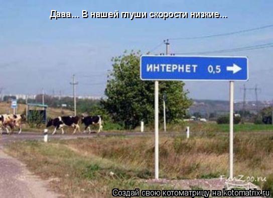 Котоматрица: Дааа... В нашей глуши скорости низкие...