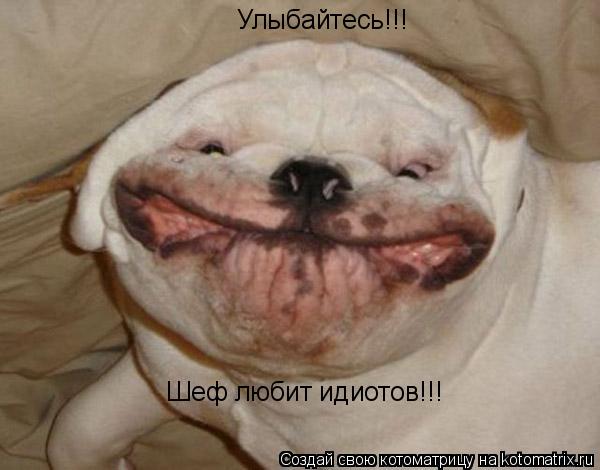 Улыбайтесь!!! Шеф любит идиотов!!!... Котоматрица: Улыбайтесь!!! Шеф любит идиотов!!!