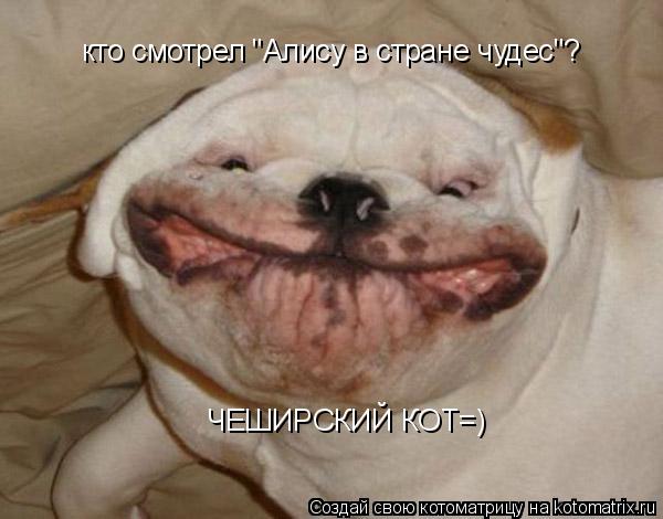 ЧЕШИРСКИЙ КОТ=) кто смотрел "Алису в стране чудес"?... Котоматрица: ЧЕШИРСКИЙ КОТ=) кто смотрел "Алису в стране чудес"?
