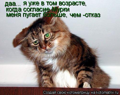 даа... я уже в том возрасте, когда согласие Мурки меня пугает больше, чем -отказ... Котоматрица: даа... я уже в том возрасте, когда согласие Мурки меня пугает больше, чем -отказ