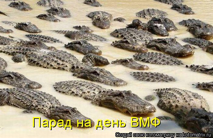 Парад на день ВМФ... Котоматрица: Парад на день ВМФ