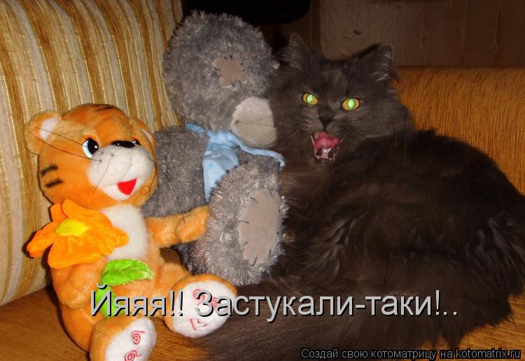 Йяяя!! Застукали-таки!..... Котоматрица: Йяяя!! Застукали-таки!..