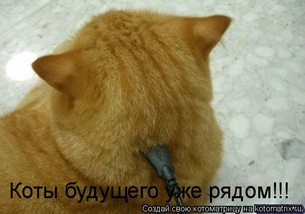 Коты будущего уже рядом!!!... Котоматрица: Коты будущего уже рядом!!!