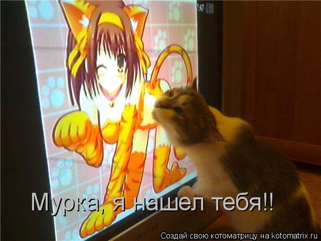 Котоматрица: Мурка, я нашел тебя!!