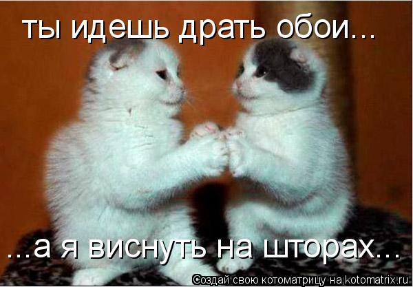 Котоматрица: ты идешь драть обои... ...а я виснуть на шторах...