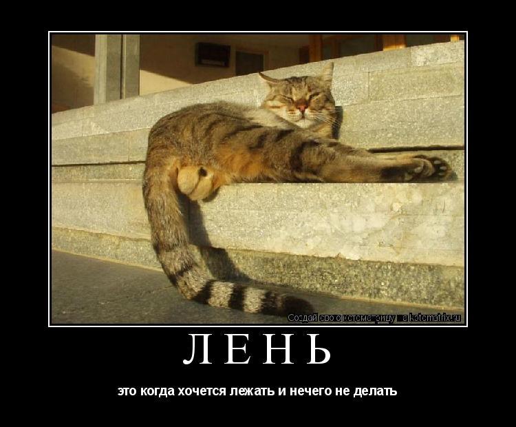 лень это когда хочется лежать и нечего не делать... Котоматрица: лень это когда хочется лежать и нечего не делать