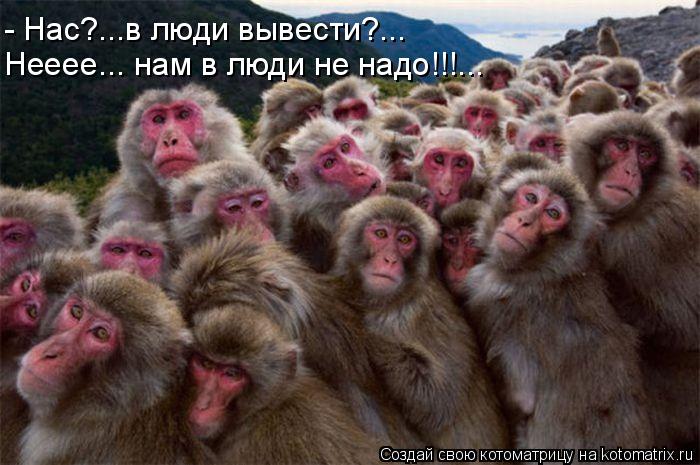 - Нас?...в люди вывести?... Нееее... нам в люди не надо!!!...... Котоматрица: - Нас?...в люди вывести?... Нееее... нам в люди не надо!!!...