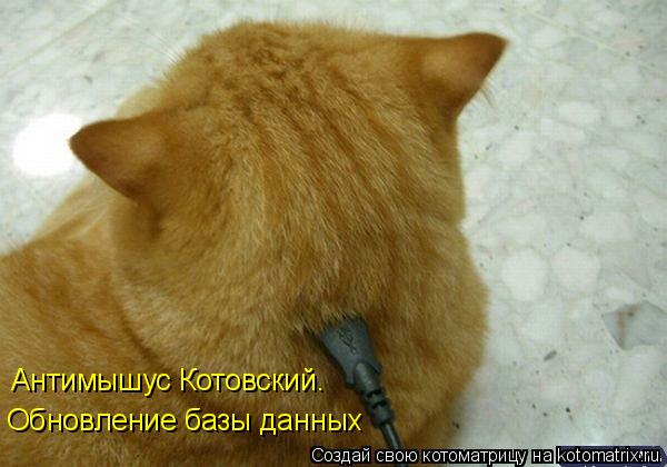 Антимышус Котовский. Обновление базы данных... Котоматрица: Антимышус Котовский. Обновление базы данных