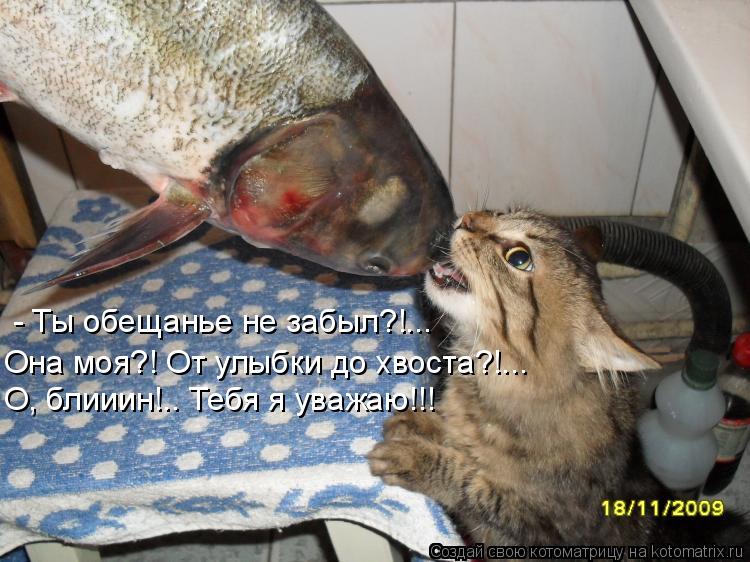 - Ты обещанье не забыл?!... Она моя?! От улыбки до хвоста?!... О, блииин!.. Тебя я уважаю!!!... Котоматрица: - Ты обещанье не забыл?!... Она моя?! От улыбки до хвоста?!... О, блииин!.. Тебя я уважаю!!!