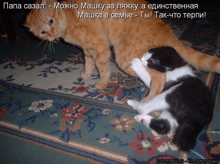 Папа сазал: - Можно Машку за ляжку, а единственная Машка в семье - Ты! Так-что терпи!... Котоматрица: Папа сазал: - Можно Машку за ляжку, а единственная Машка в семье - Ты! Так-что терпи!