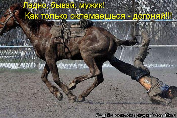 Ладно, бывай, мужик! Как только оклемаешься - догоняй!!!... Котоматрица: Ладно, бывай, мужик! Как только оклемаешься - догоняй!!!