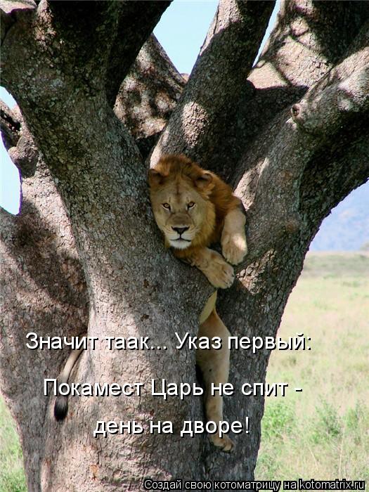 Значит таак... Указ первый: Покамест Царь не спит - день на дворе!... Котоматрица: Значит таак... Указ первый: Покамест Царь не спит - день на дворе!