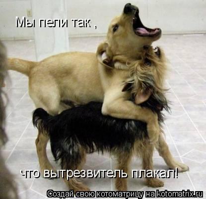 Мы пели так , что вытрезвитель плакал!... Котоматрица: Мы пели так , что вытрезвитель плакал!