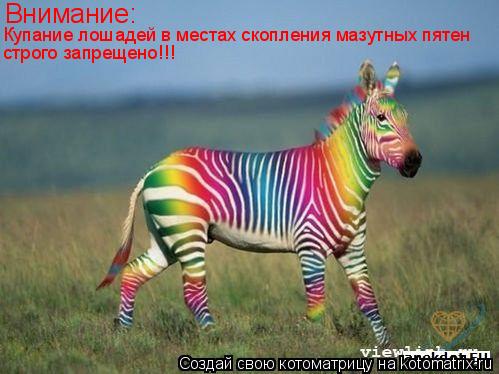 Внимание: Купание лошадей в местах скопления мазутных пятен строго запрещено!!!... Котоматрица: Внимание: Купание лошадей в местах скопления мазутных пятен строго запрещено!!!