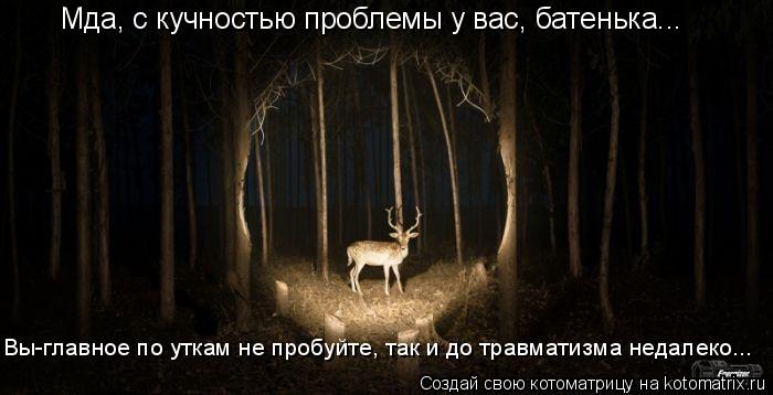 Котоматрица: Мда, с кучностью проблемы у вас, батенька... Вы-главное по уткам не пробуйте, так и до травматизма недалеко...