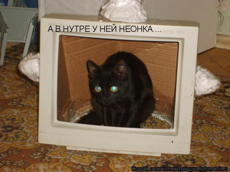 Котоматрица: А В НУТРЕ У НЕЙ НЕОНКА....