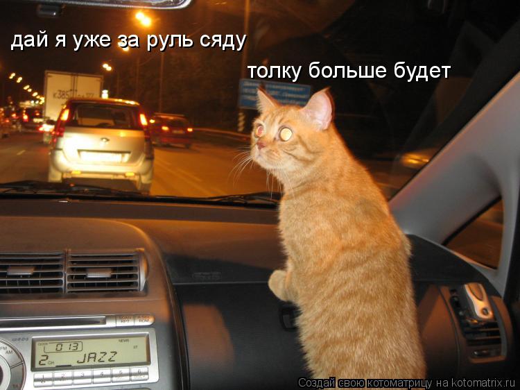 дай я уже за руль сяду толку больше будет... Котоматрица: дай я уже за руль сяду толку больше будет