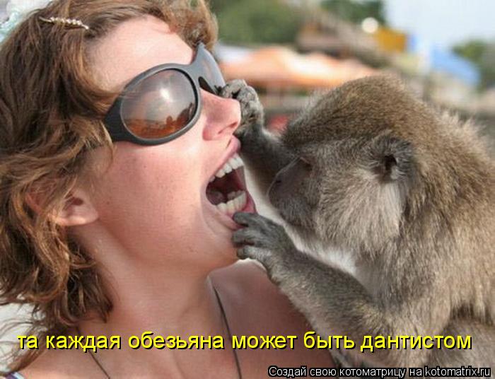 та каждая обезьяна может быть дантистом... Котоматрица: та каждая обезьяна может быть дантистом