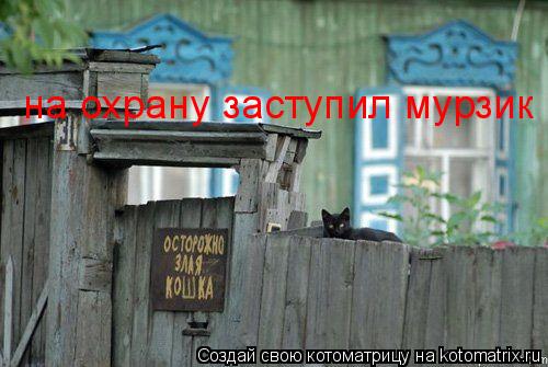 на охрану заступил мурзик... Котоматрица: на охрану заступил мурзик