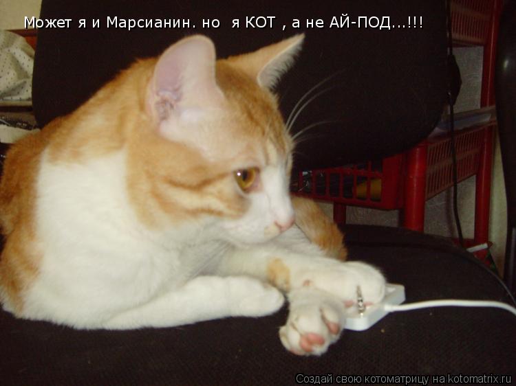 Может я и Марсианин. но я КОТ , а не АЙ-ПОД...!!!... Котоматрица: Может я и Марсианин. но я КОТ , а не АЙ-ПОД...!!!