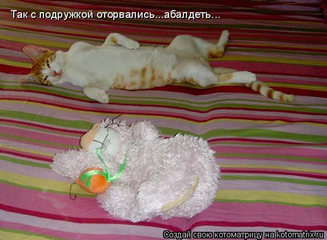Так с подружкой оторвались...абалдеть...... Котоматрица: Так с подружкой оторвались...абалдеть...