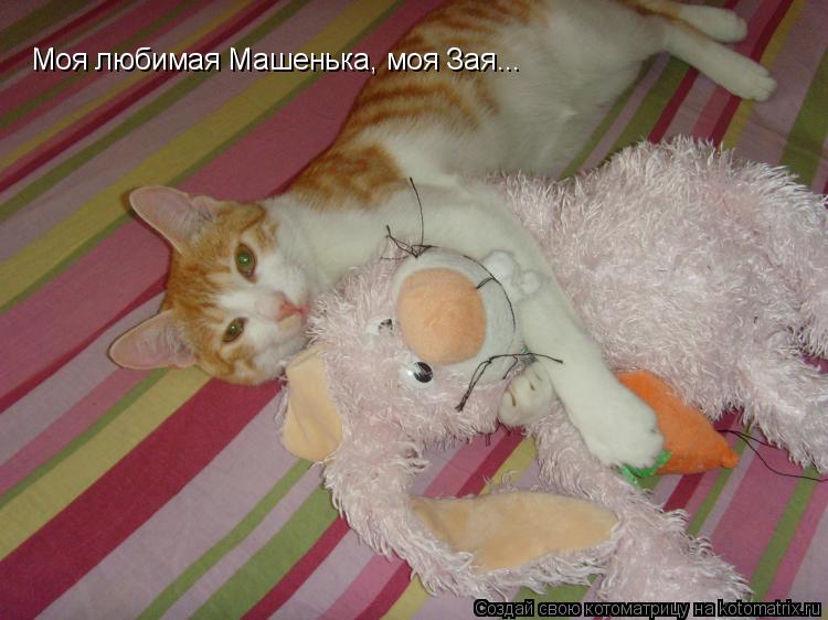Моя любимая Машенька, моя Зая...... Котоматрица: Моя любимая Машенька, моя Зая...
