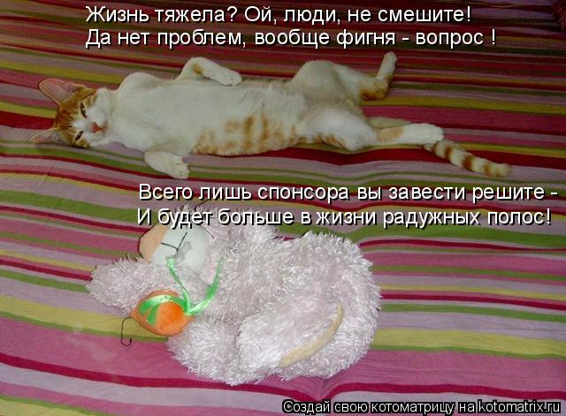 Всего лишь спонсора вы завести решите - Да нет проблем, вообще фигня - вопрос ! Жизнь тяжела? Ой, люд... Котоматрица: Всего лишь спонсора вы завести решите - Да нет проблем, вообще фигня - вопрос ! Жизнь тяжела? Ой, люди, не смешите! И будет больше в жизни радуж