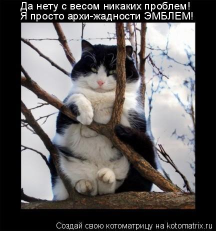 Я просто архи-жадности ЭМБЛЕМ! Да нету с весом никаких проблем!... Котоматрица: Я просто архи-жадности ЭМБЛЕМ! Да нету с весом никаких проблем!