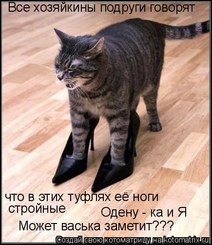 Котоматрица: Все хозяйкины подруги говорят что в этих туфлях её ноги  стройные Одену - ка и Я Может васька заметит???