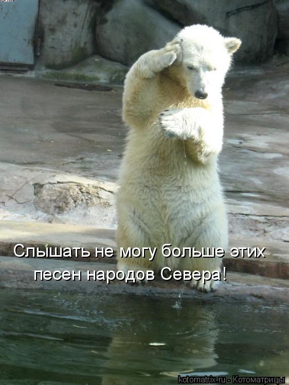 Котоматрица: Слышать не могу больше этих песен народов Севера!