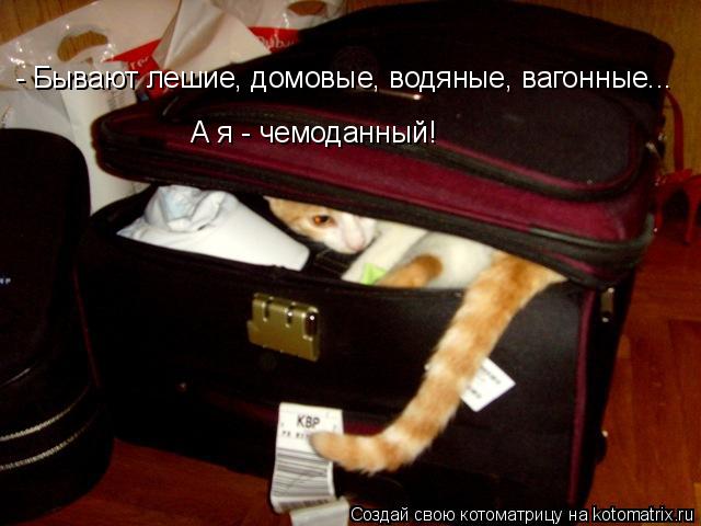 Котоматрица: - Бывают лешие, домовые, водяные, вагонные... А я - чемоданный!