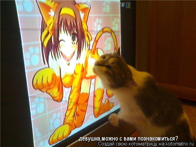 девушка,можно с вами познакомиться? девушка,можно с вами познакомиться?... Котоматрица: девушка,можно с вами познакомиться? девушка,можно с вами познакомиться?