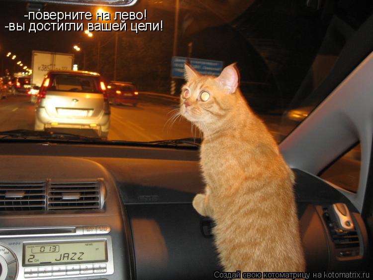 -поверните на лево! -вы достигли вашей цели!... Котоматрица: -поверните на лево! -вы достигли вашей цели!