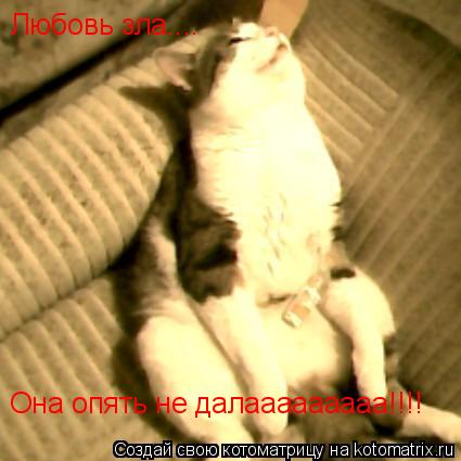 Она опять не далааааааааа!!!! Любовь зла....... Котоматрица: Она опять не далааааааааа!!!! Любовь зла....