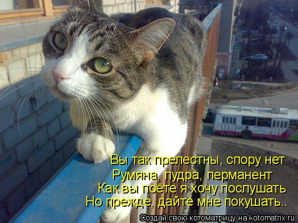 Вы так прелестны, спору нет Румяна, пудра, перманент Как вы поёте я хочу послушать Но прежде, дайте м... Котоматрица: Вы так прелестны, спору нет Румяна, пудра, перманент Как вы поёте я хочу послушать Но прежде, дайте мне покушать..