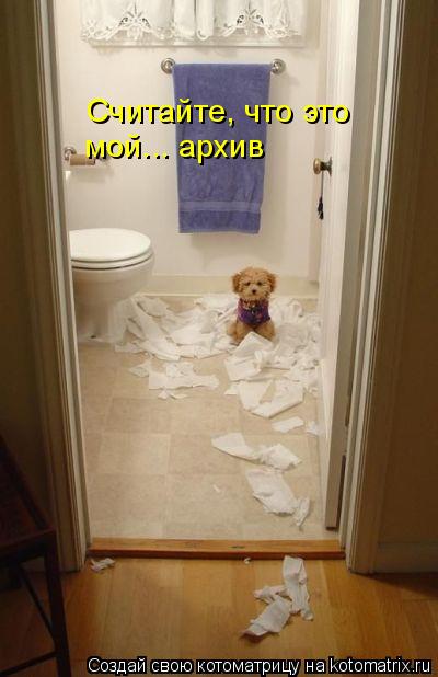 Считайте, что это мой... архив... Котоматрица: Считайте, что это мой... архив