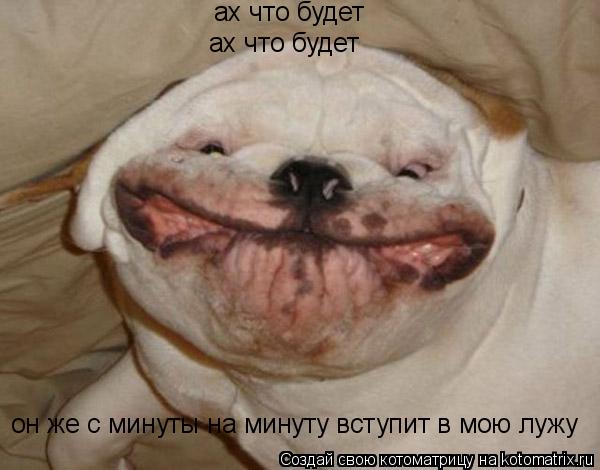 ах что будет ах что будет он же с минуты на минуту вступит в мою лужу... Котоматрица: ах что будет ах что будет он же с минуты на минуту вступит в мою лужу