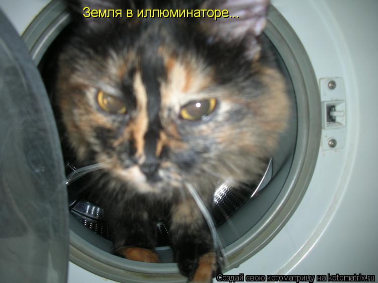 Земля в иллюминаторе...... Котоматрица: Земля в иллюминаторе...