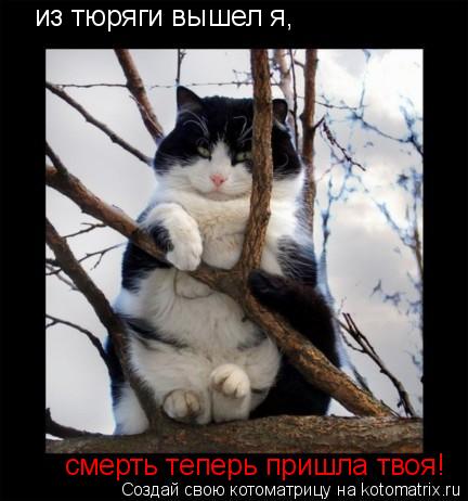 из тюряги вышел я, смерть теперь пришла твоя!... Котоматрица: из тюряги вышел я, смерть теперь пришла твоя!