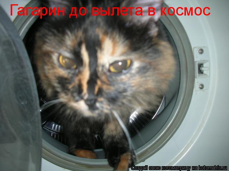 Гагарин до вылета в космос... Котоматрица: Гагарин до вылета в космос