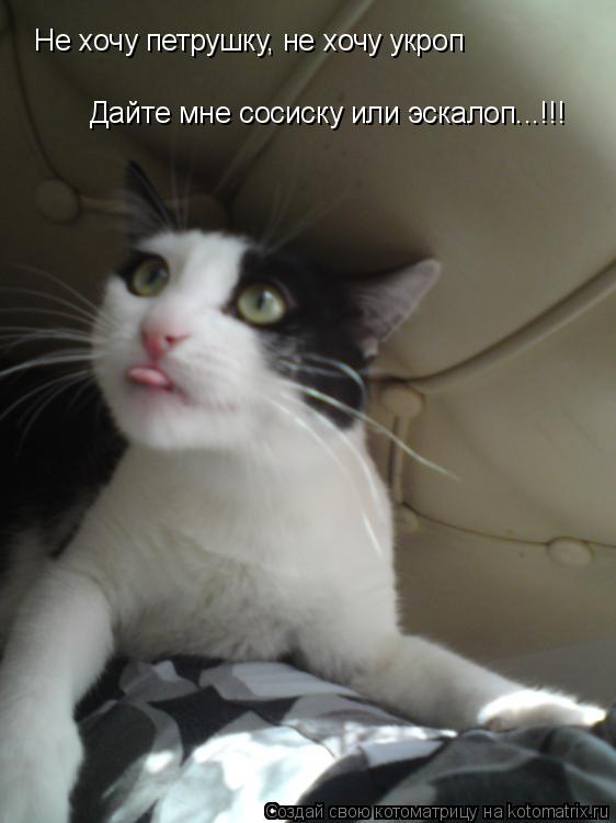 Не хочу петрушку, не хочу укроп Дайте мне сосиску или эскалоп...!!!... Котоматрица: Не хочу петрушку, не хочу укроп Дайте мне сосиску или эскалоп...!!!