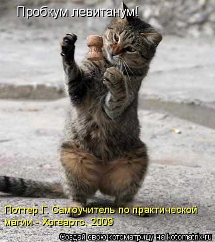 Пробкум левитанум! магии - Хогвартс, 2009 Поттер Г. Самоучитель по практической... Котоматрица: Пробкум левитанум! магии - Хогвартс, 2009 Поттер Г. Самоучитель по практической